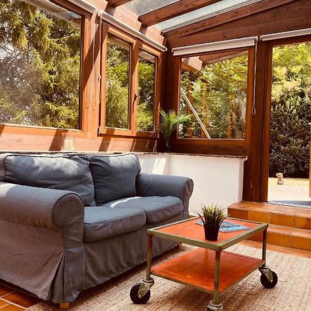Ferienwohnung Mit Sauna Am Wald - Eifel 梅谢尼希 外观 照片